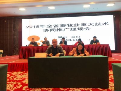 資丘飛雞技術(shù)推廣模式入選全國畜牧業(yè)重大技術(shù)協(xié)同推廣計(jì)劃試點(diǎn)